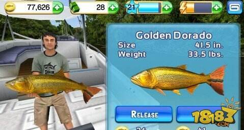 垂钓之王攻略:新手游戏必看心得