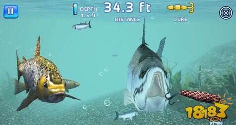 垂钓之王攻略:新手游戏必看心得