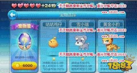 天天酷跑宠物大全从零开始人人成大神