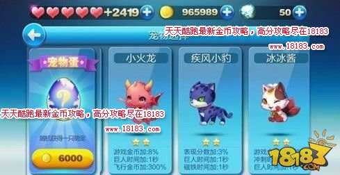 天天酷跑宠物大全从零开始人人成大神