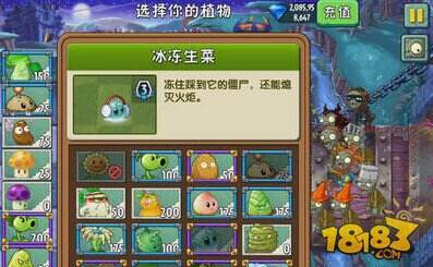 大战僵尸时代2a大战白金第12天攻略最后生还者攻略植物图片