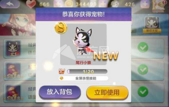 天天风之旅轻松刷分228W技巧解析