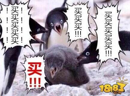 炉石话题:如何才能让更多新人加入进来