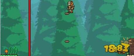 泰拉瑞亚无限悬浮技巧攻略