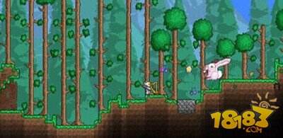 泰拉瑞亚BOSS打法技巧攻略