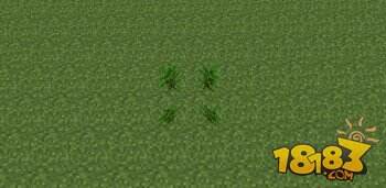 我的世界丛林木与深色橡木种植攻略