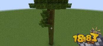 我的世界丛林木与深色橡木种植攻略