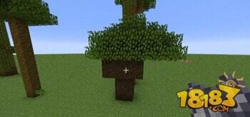 我的世界丛林木与深色橡木种植攻略