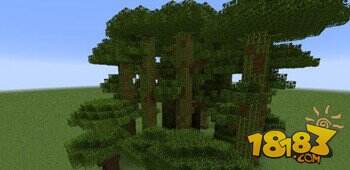 我的世界丛林木与深色橡木种植攻略