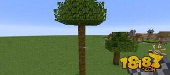 我的世界丛林木与深色橡木种植攻略