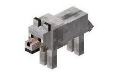 我的世界狼怎么驯服?狼详细介绍