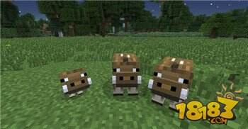 我的世界暮色森林mod生物介绍