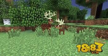 我的世界暮色森林mod生物介绍