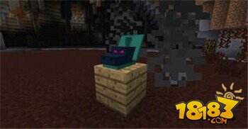 我的世界暮色森林九头蛇在哪 九头蛇怎么打