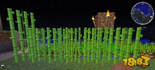 我的世界怎么种甘蔗?甘蔗种植方法