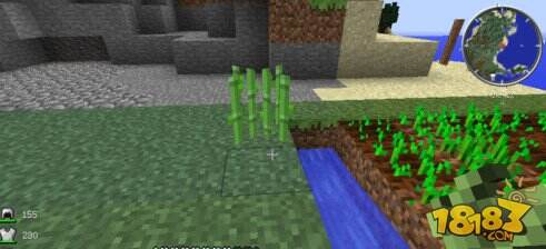 我的世界怎么种甘蔗?甘蔗种植方法