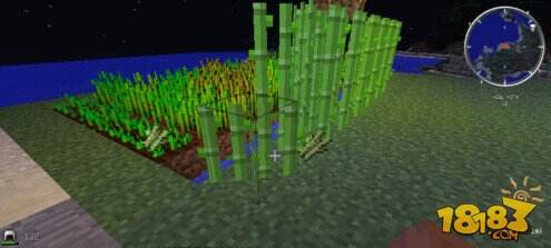 我的世界怎么种甘蔗?甘蔗种植方法