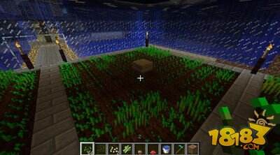 我的世界耕地与播种特性详细