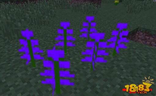 化身月下杀手 我的世界狼人mod下载