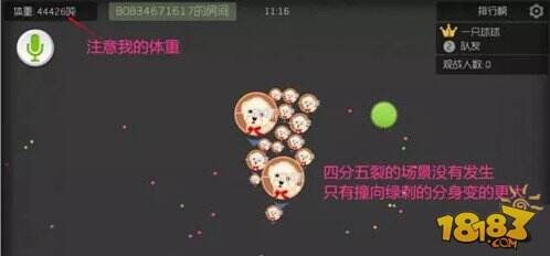 球球大作战16分身炸刺快速变大技巧