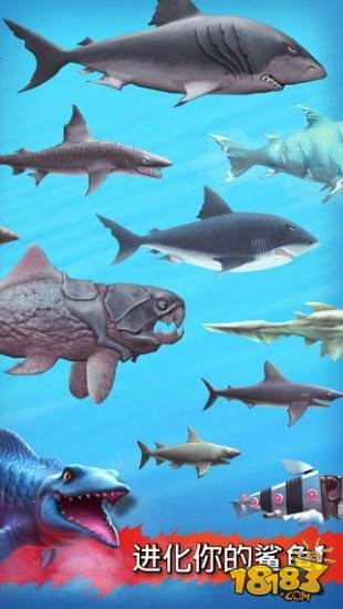 饥饿鲨进化破解版