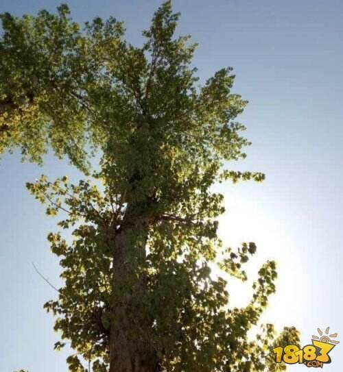 魅蓝Note3深度评测 价格799元是否物超所值