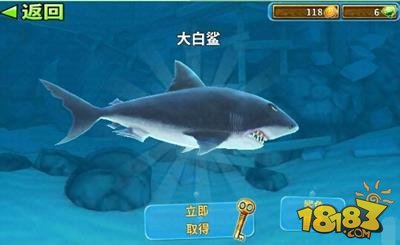 饥饿鲨进化最终鲨鱼介绍大白鲨能力分析