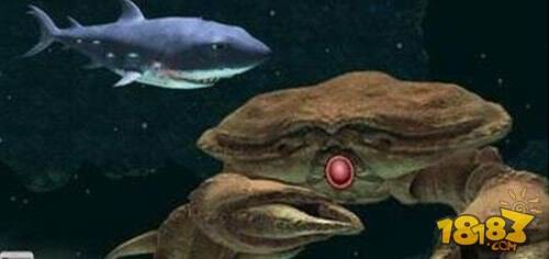 饥饿鲨进化螃蟹怎么打 螃蟹打法技巧分享