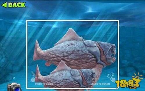 饥饿鲨进化邓氏鱼化石怎么获得 邓氏鱼解锁