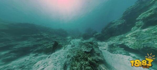 苍鹭岛海底生活 海底最美生态之旅