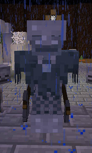 1.10版全新BOSS流浪亡灵&沙漠干尸技能解析