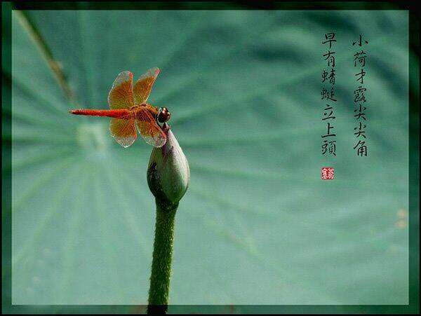 Win10升级中国风 念诗要靠文化底蕴