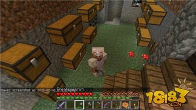 补怪不再难 蜘蛛刷怪笼改造技巧