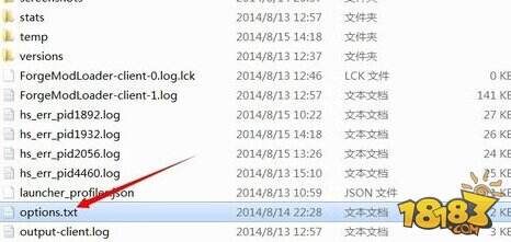 我的世界无限夜视怎么调 文件修改教程