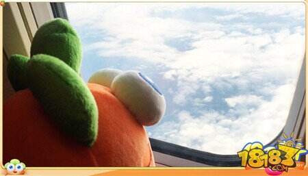 海航助力阿波厦门寻爱之旅 萝卜真的上天了