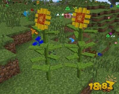 我的世界枫树Mod野外植物详细介绍