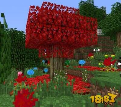 我的世界枫树Mod野外植物详细介绍