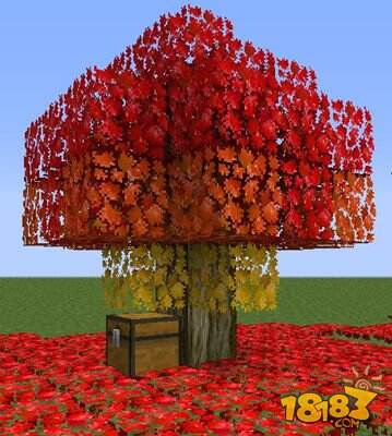 我的世界枫树Mod野外植物详细介绍