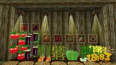 我的世界枫树Mod农作物详细介绍