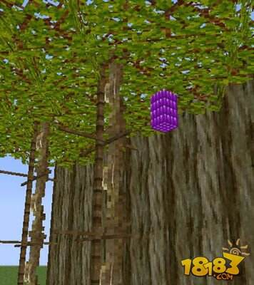 我的世界枫树Mod农作物详细介绍