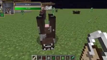 探索神奇的MC 手把手教你制造倒着的生物