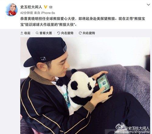黄晓明带熊猫宝宝结识球球大作战 原来黄教主也是球宝