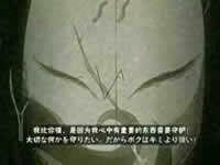 火影忍者手游毒风秘境怎么打？