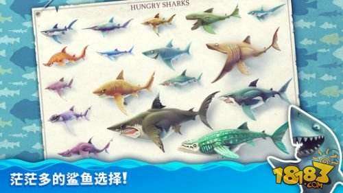 饥饿鲨世界鲨吉拉