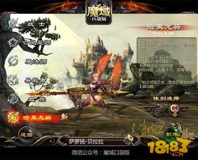 魔域口袋版颜高活儿好 暗黑龙骑PK场的杀戮旋风