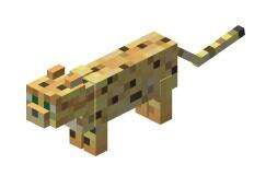 我的世界豹猫怎么驯服 猫作用介绍