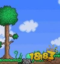 泰拉瑞亚史莱姆大全 史莱姆打法图文详解