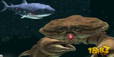 饥饿鲨进化灭世魔龙怎么打败螃蟹 击败螃蟹攻略