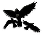 火影忍者手游乌鸦什么时候出 通灵兽乌鸦即将登场