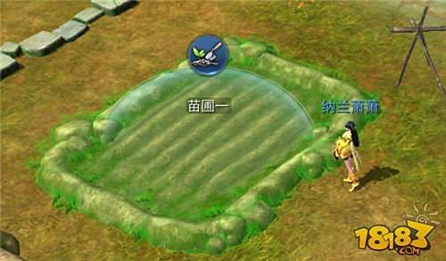 倩女幽魂手游家园打造攻略 家园升级问题详解